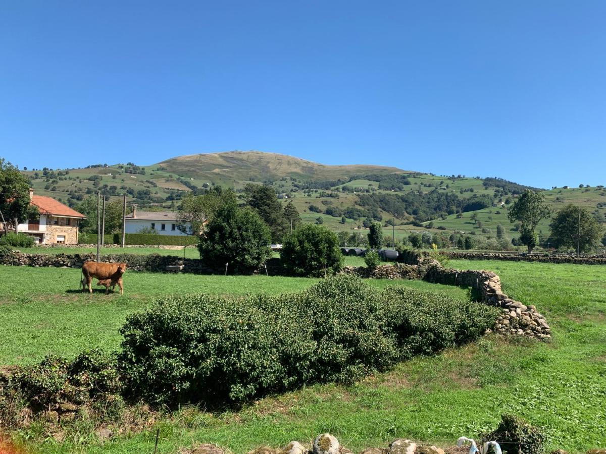 Ferienhaus Casa Amalia - En El Corazon De Cantabria!! Villacarriedo